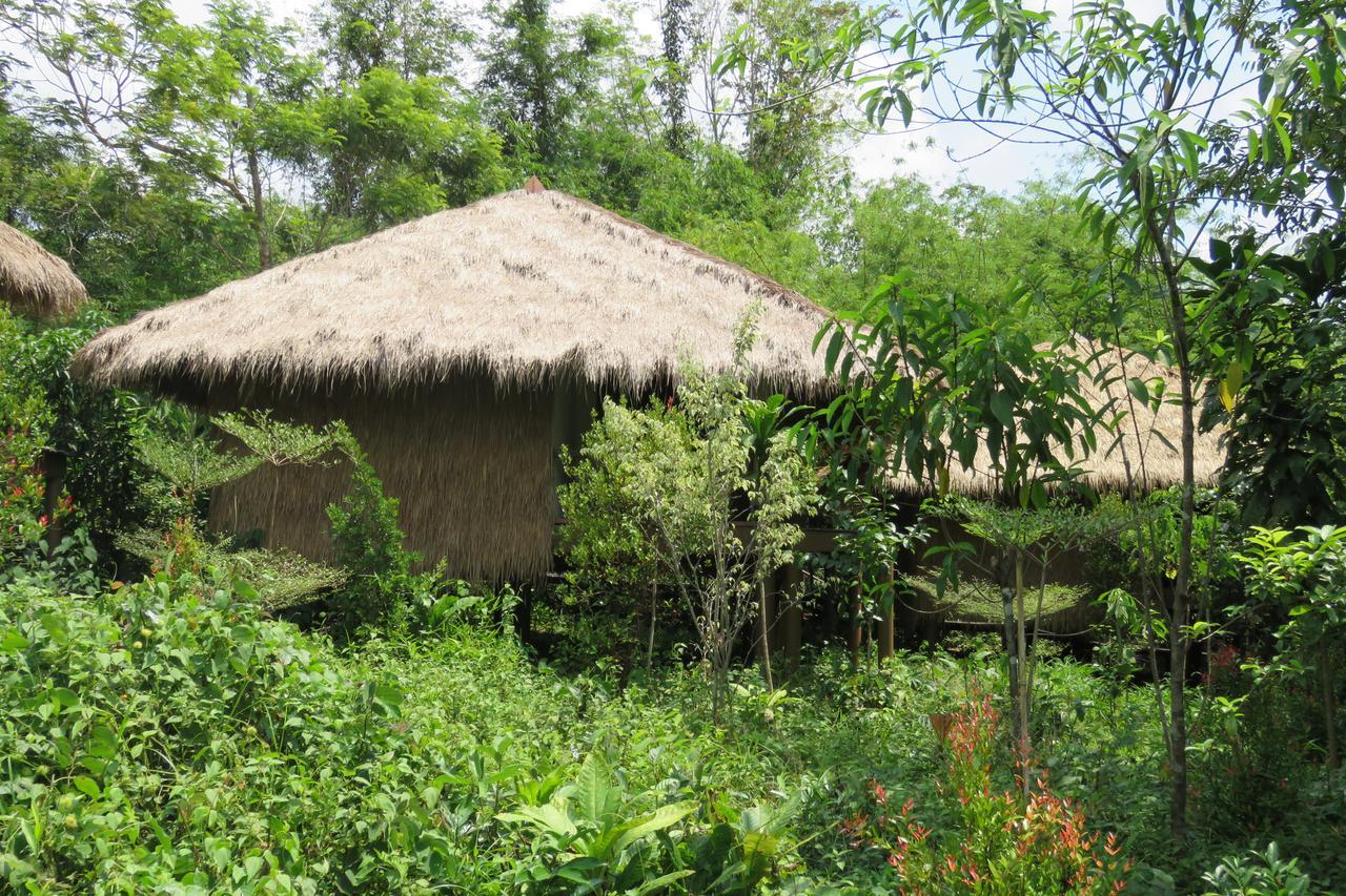 فندق رين بو لودج تاتاي Tatai المظهر الخارجي الصورة