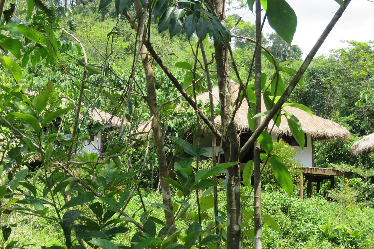 فندق رين بو لودج تاتاي Tatai المظهر الخارجي الصورة