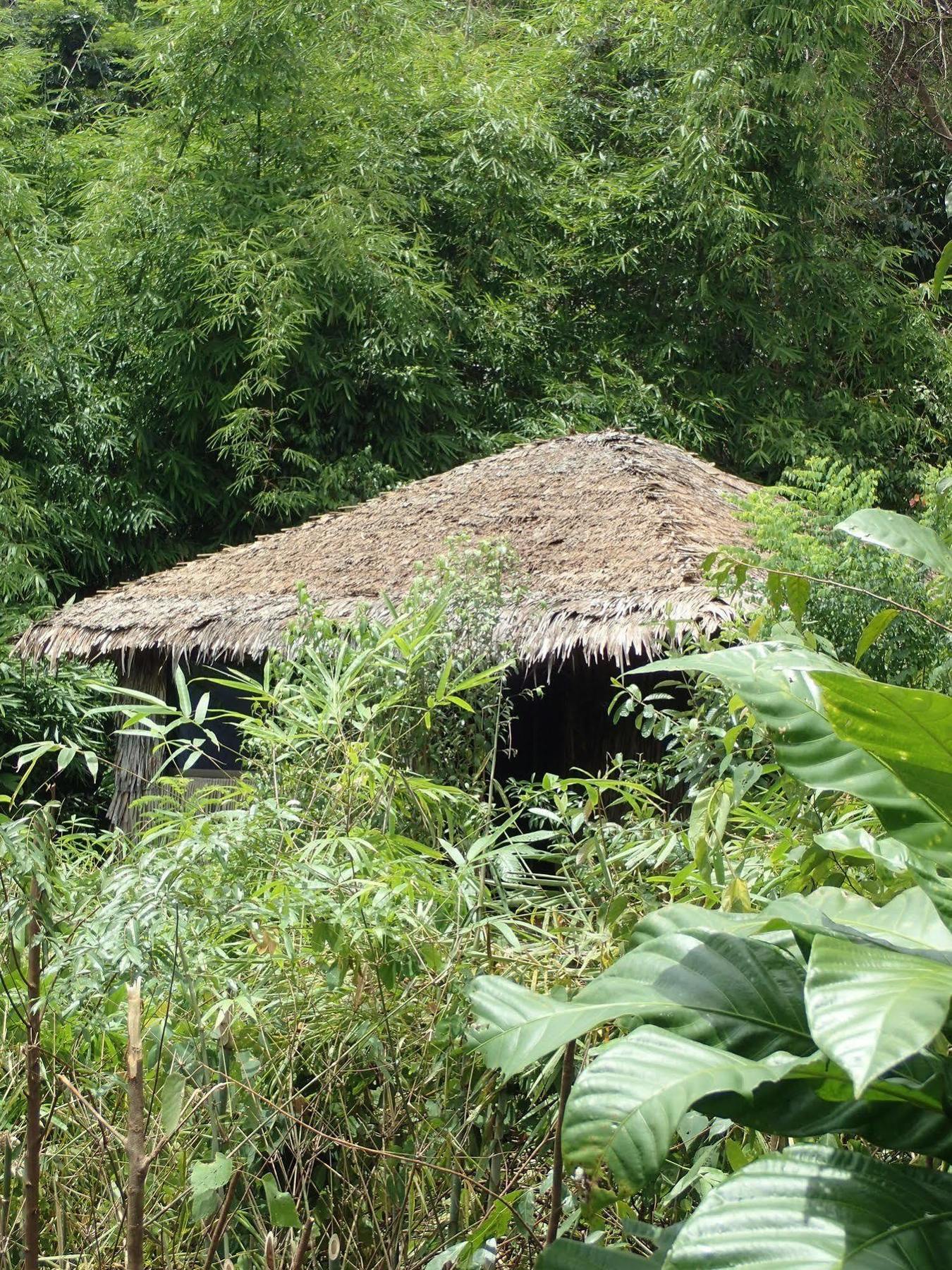 فندق رين بو لودج تاتاي Tatai المظهر الخارجي الصورة